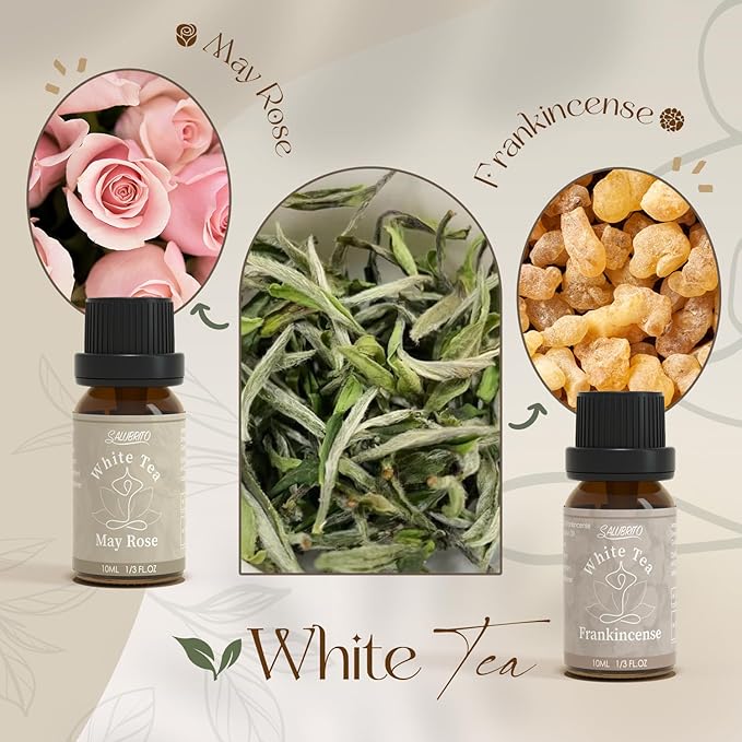 SALUBRITO Zen Fragrance Oil Set, Tea Essential Oil for Diffuser, Candle, Soap Making, White Tea, Black Tea, Green Tea Blended with Rose, Bamboo, Lavender, Sandalwood, Frankincense, Citrus Scented Oil - Bloomnest