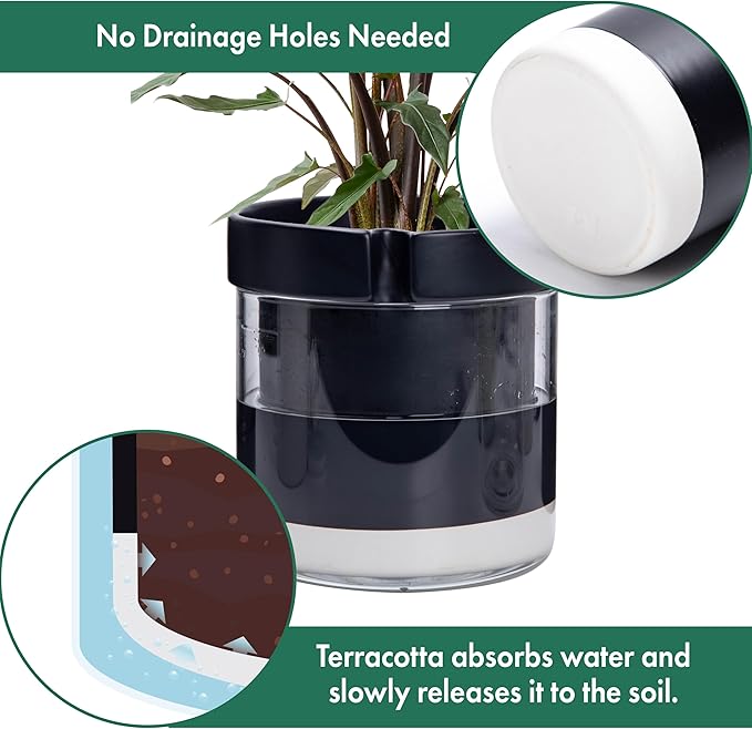 Phoenix Vine 8 Inch Self Watering Terracotta Planter, Black Terracotta Clay Pot with Glass Reservoir for Indoor Plants, Herbs, Flowers, Set of 1, 52-C-H-1 - Bloomnest