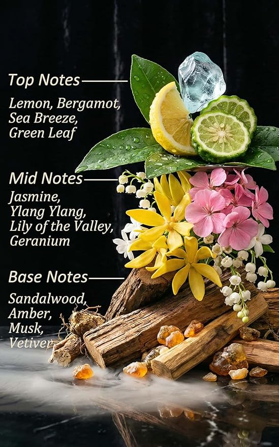 Hotel Diffuser Oil Inspired by Ritz-Carlton – Fragrance & Essential Oil Blend for Waterless & Cold Air Diffusers – Bergamot, Jasmine, Marine – Long-Lasting Aroma – Aromatherapy, Home, Spa – 3.38 Fl Oz - Bloomnest