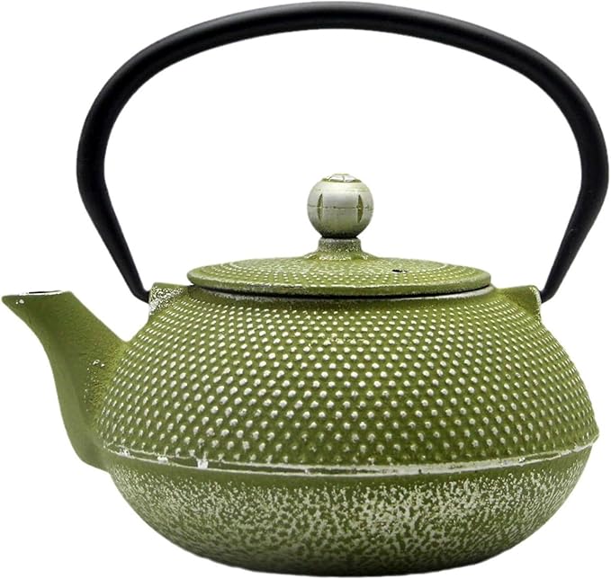 Cast Iron Teapot Tea Kettle with Stainless Steel Infuser for Stovetop Safe Coated with Enameled Interior Japanese Green Tetsubin for Loose Tea(30.4oz/900ml) - Bloomnest