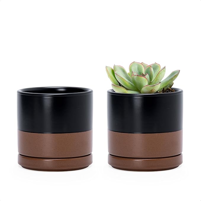 D'vine Dev Set of 2 Plants Pots, 3.5 Inch Ceramic Planter Pot for Plants with Drainage Hole and Saucer, Black/Speckled Tan, 94-V-A-7 - Bloomnest