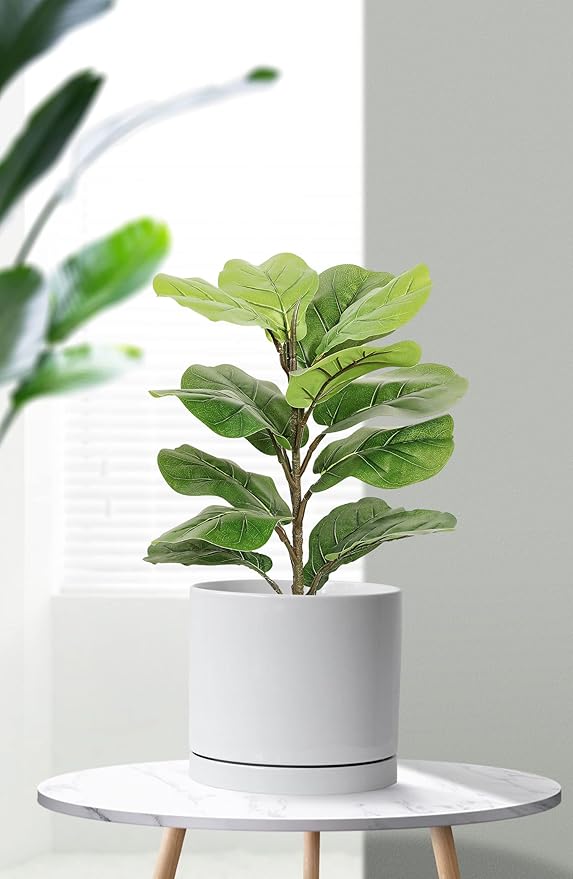 Aveyas 8 inch Ceramic Plant Pot with Drainage Hole and Saucer - Suitable for Indoor and Outdoor Use, Modern Planters for House Garden Flower Tree Snake Monstera Plants (8", Glossy White) - Bloomnest