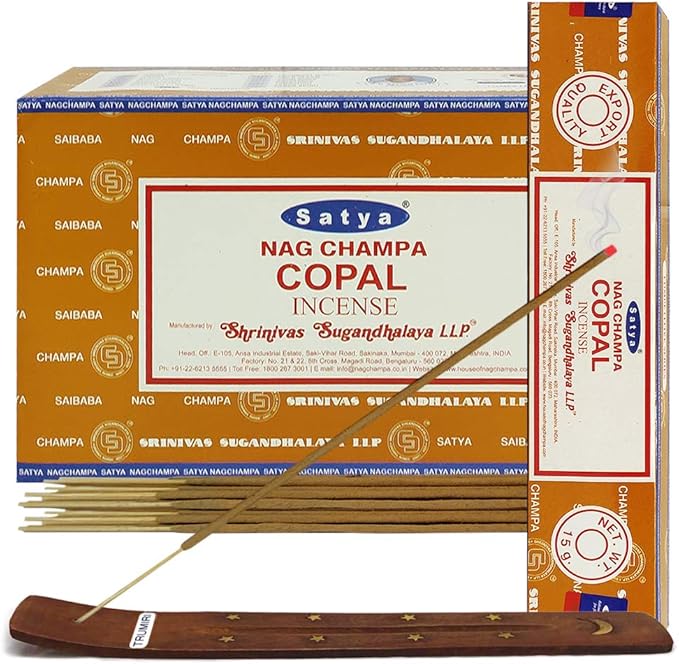 Copal Incense Sticks and Incense Stick Holder Bundle Insence Insense Satya - Bloomnest