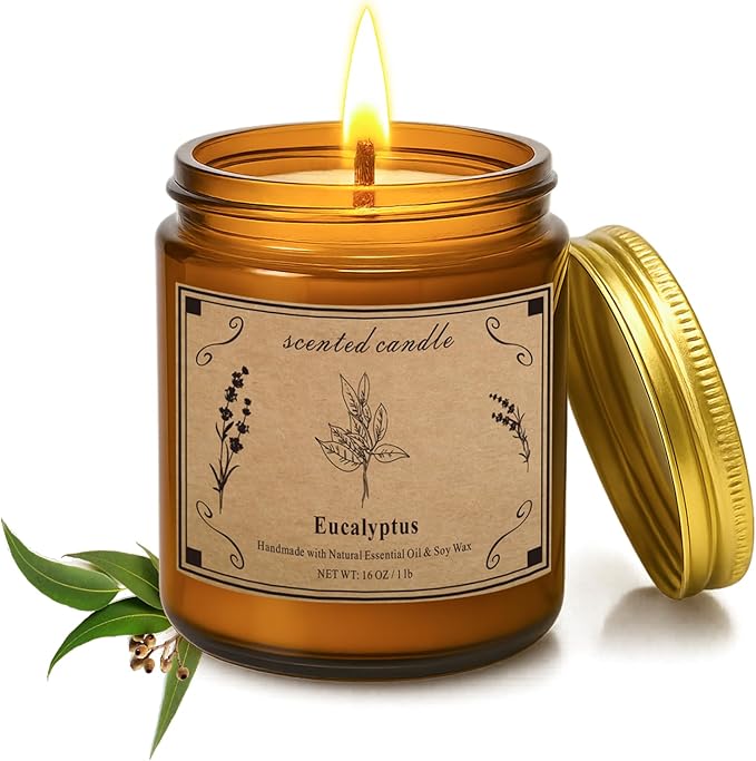 Home Scented Candles, 16oz Large Jar Scented Candle – Eucalyptus Soy Wax Candle with 100 Hour Burn Time, Long Lasting Aromatherapy Candle for Stress Relief, Fresh Home Fragrance & Spa Gifts - Bloomnest