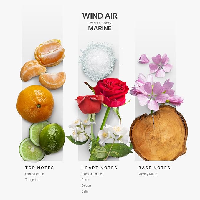 AromaPlan Hotel Scents Wind Air 5 Fl Oz (148ml), Home Luxury Aroma & Hotel Fragrance Diffuser Oil- Hotel Diffuser Oil for Aromatherapy- USA Made, Bigger Bottle, Bolder Aroma & Longer Lasting - Bloomnest