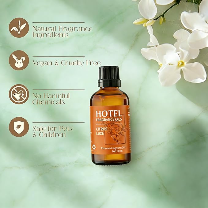 Citrus Luxe Diffuser Oil – Luxury Hotel-Inspired Essential Oils for Diffusers Aromatherapy – Fragrance Oil Blend – Home Essentials for Bedroom, Living Room & Bathroom – 30ml - Bloomnest