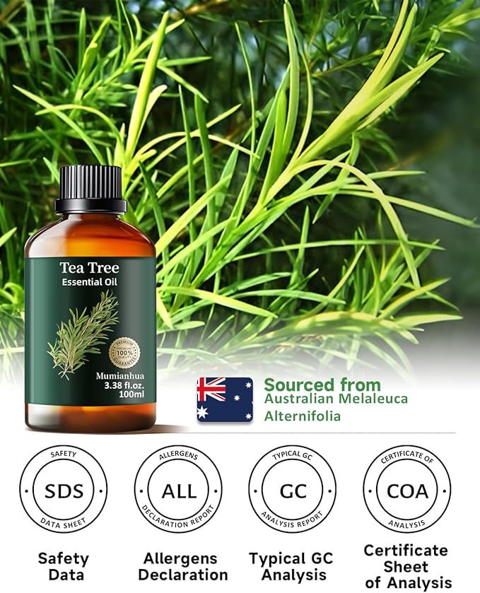 Tea Tree Essential Oil Pure Mumianhua Natural Tea Tree Oil for Diffuser, Aromatherapy, Skin, Face, Toenails, Foot Soak and DIY Soap Making 3.38 Fl Oz - Bloomnest
