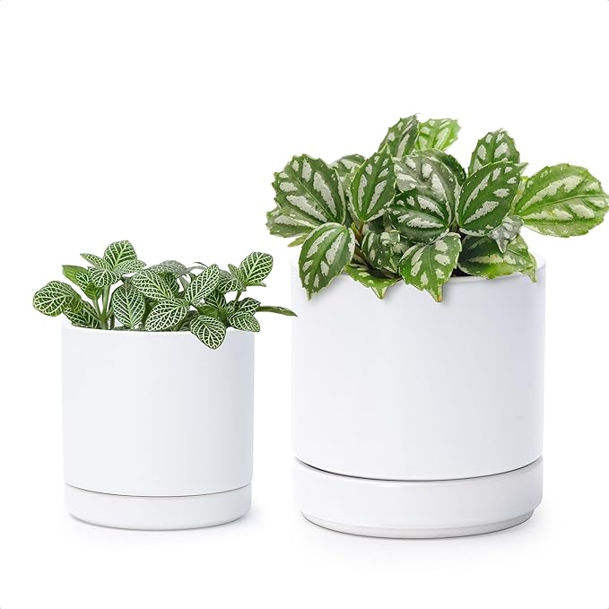 D'vine Dev 3.5 Inch & 4.7 Inch Ceramic Planter Pots for Plants with Drainage Hole and Saucer, X-Small Plant Pots Set, White, 94-G-XS-1 - Bloomnest