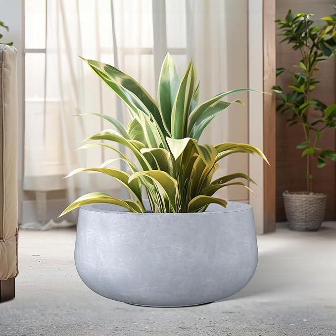 Kante 15.7" Dia Round Concrete Planter, Cement Plant Pots with Drainage Hole and Rubber Plug for Outdoor Indoor Garden Home, Modern Curvaceous Design, Gray - Bloomnest