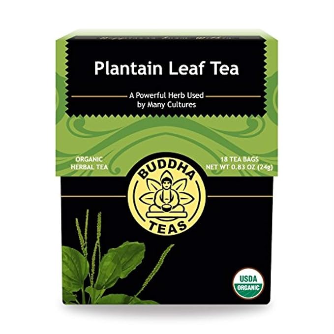 Buddha Teas - Plantain Leaf Tea - Herbal Tea - Promotes Digestive & Respiratory Health - Clean Ingredients - Caffeine Free - OU Kosher - Gluten Free - 18 Tea Bags (Pack of 1) - Bloomnest