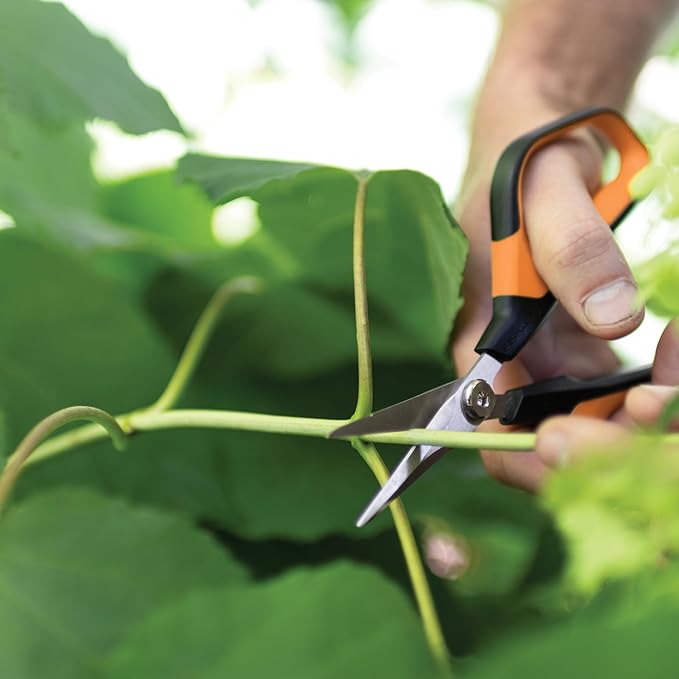 Fiskars Comfort Loop Pruning Snips, Garden Gifts for Women, Extra Large SoftGrip Handle, Yard and Garden Tools 7", Orange/Black - Bloomnest