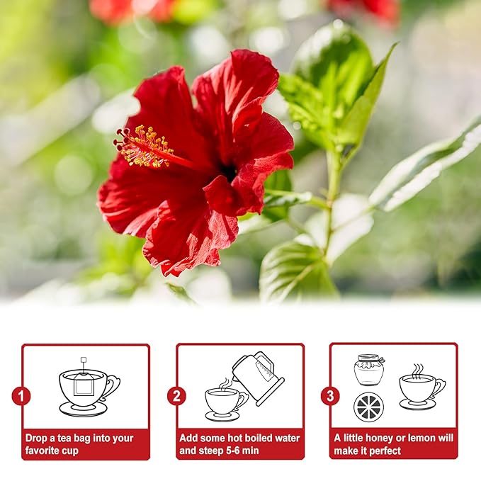 TEARELAE - Hibiscus Tea Bags - 2g x 80 Count - 100% Pure Hibiscus Flowers - Country of Origin Nigeria - Non-GMO - Caffeine-free - Aid Digestion & Support Heart Health - Bloomnest