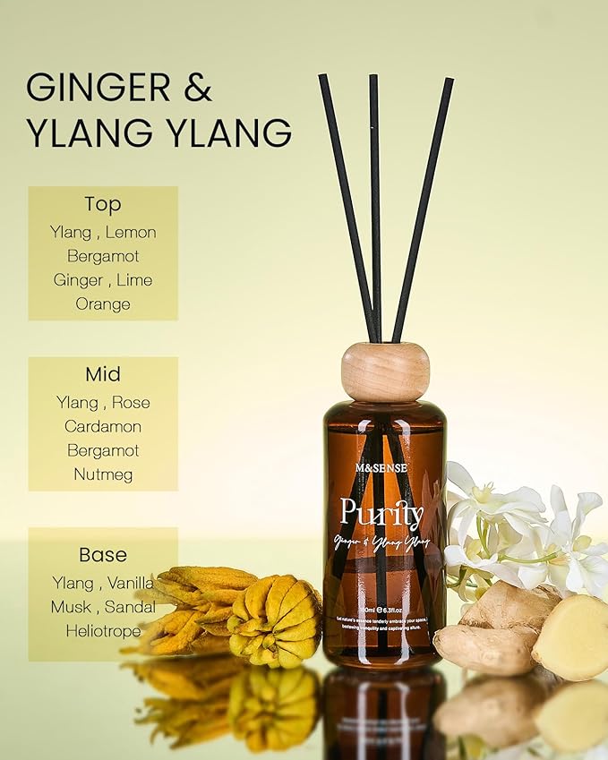 M&SENSE Reed Diffuser Set, Ginger Ylang Ylang Scented 6.3 fl oz Natural Essential Oil Diffusers with Sticks, Non-Toxic Organic Air Freshener, Long-Lasting Fragrance Oils for Home Bathroom Study Office MSENSE
