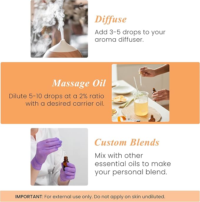 Handcraft Blends Orange Essential Oil – 1 Fl Oz – 100% Pure and Natural – Premium Grade Essential Oil for Diffuser and Aromatherapy, Skin, Massage, Candle and Soap Making Fragrance - Bloomnest