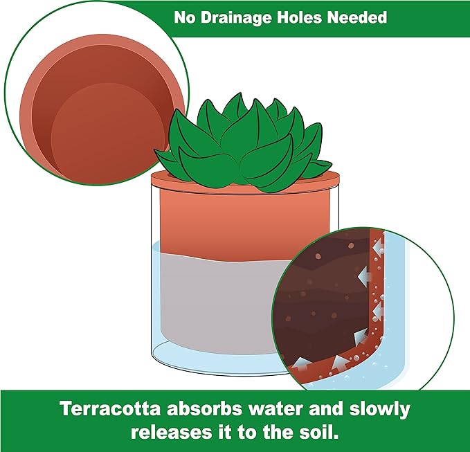 Phoenix Vine 4 Inch Self Watering Plants Pot, Design Terracotta Pot for Plants, Indoor Cylinder Terra Cotta Planter with Glass Vase, Set of 1, 51-A-E-1 - Bloomnest