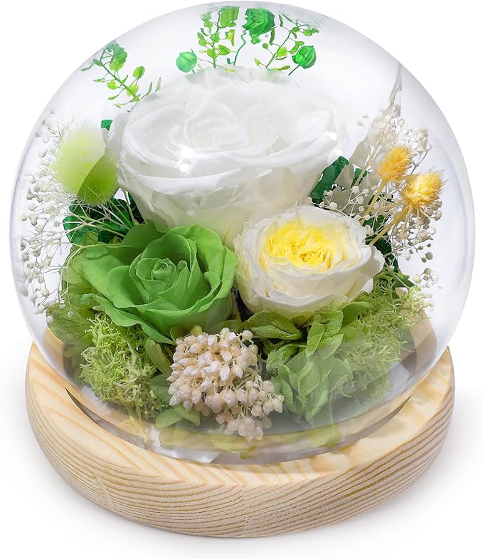 FIACO Preserved Rose Birthday Gift for Women Forever Fresh Flowers for Prime Delivery Gift for Mom Grandma Wife Valentines Mothers Day Christmas Anniversary Eternal Roses in Glass Dome - Bloomnest