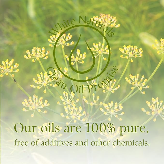 Organic Fennel Essential Oil for Digestion, Sweet Fennel Seed Oil for Congestion Relief & Uplift Mood, 100% Pure, Undiluted, Therapeutic Grade for Aromatherapy, Glowing Skin, Strengthened Hair 1oz - Bloomnest