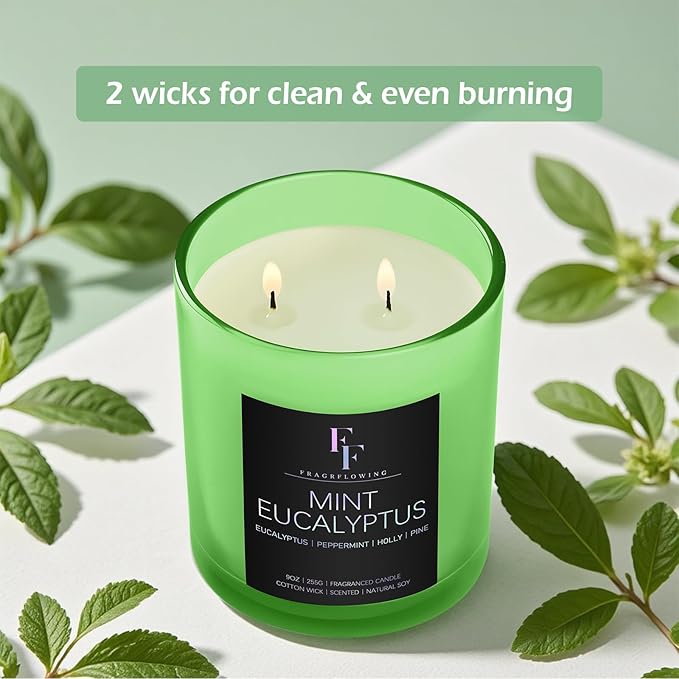Mint Eucalyptus Scented Candle, 2-Wick Luxury Soy Wax Candle, 9 oz Aromatherapy Candle Home Fragrance Candles Gift - Bloomnest