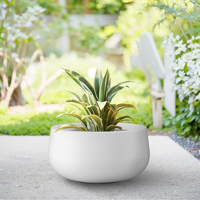 Kante 11.8" Dia Round Concrete Planter, Cement Plant Pots with Drainage Hole and Rubber Plug for Outdoor Indoor Garden Home, Modern Curvaceous Design, Pure White - Bloomnest