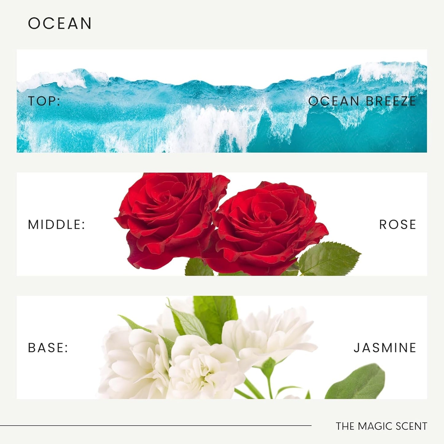 The Magic Scent Ocean Diffuser Oil - Hotel & Home Luxury Scents Inspired by Bali Resort - Oil Scents for Home Designed for Use in All Diffusers - 16.9 fl oz, 500 mL