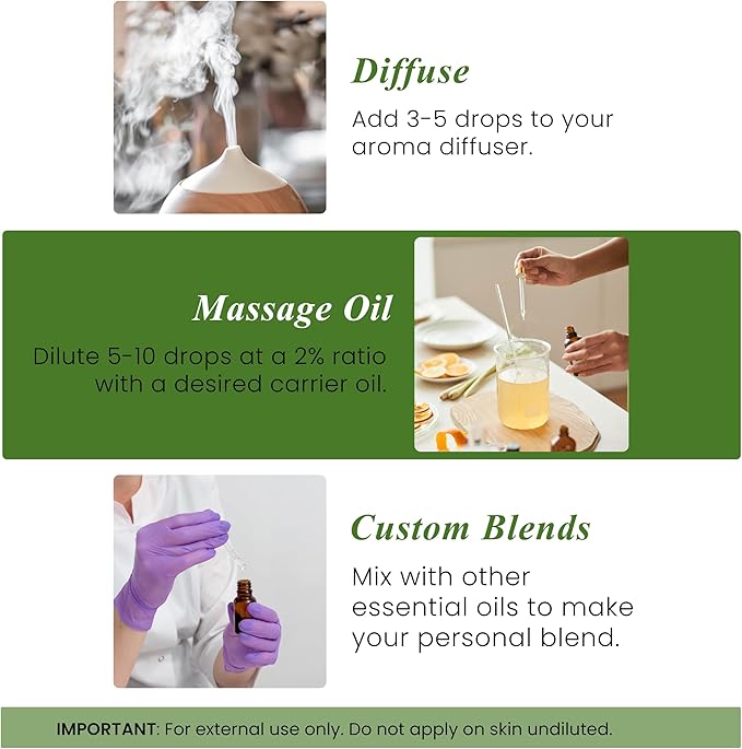 Handcraft Blends Bergamot Essential Oil – 1 Fl Oz – 100% Pure and Natural – Premium Grade Essential Oil for Diffuser and Aromatherapy, Skin, Massage, Candle and Soap Making Fragrance - Bloomnest