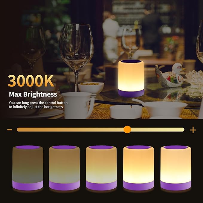 OORUN Touch Bedside Table Lamp,13 RGB Colors & 5 Brightness, USB Rechargeable Desk Lamp, Remote Control Dimmable Night Light with RGB Color Changing,Portable Lamp for Baby, Living Room (Purple) - Bloomnest