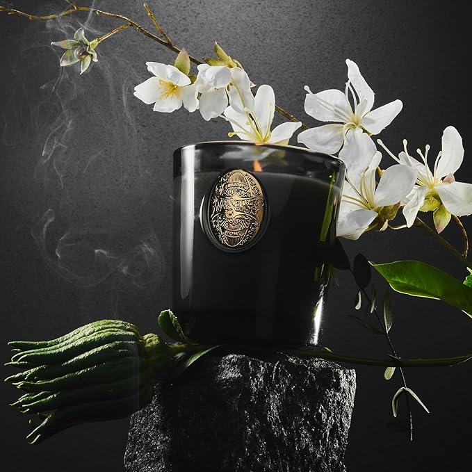 M&SENSE Natural Soy Candle | Crisp Chill & Black | 9.2 oz, 50H Burn Time | Luxury Scented Candle for Him,for Relaxation, Gifting, Home Décor | Ideal for Bedroom, Office, Party Ambiance - Bloomnest