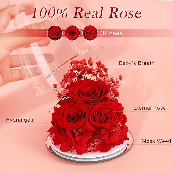 FIACO Valentines Day Gifts for Her Women, Preserved Flowers Forever Eternal Fresh Rose in Glass Angel Figurines Flowers for Delivery Red Roses for Grandma Mom Sister Wife Girlfriend Mother Birthday - Bloomnest