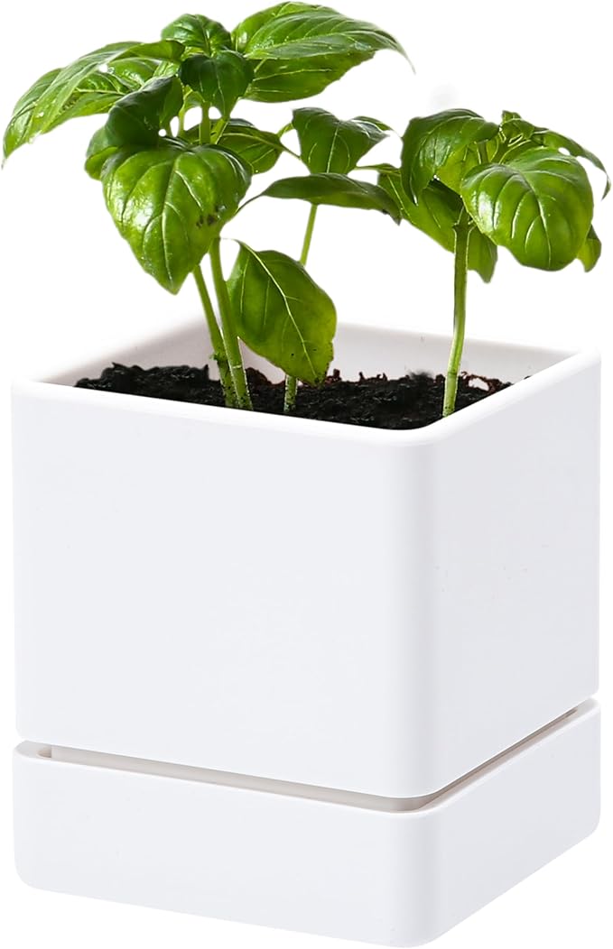 4 Inch Herb Planter Pot, Plastic Planter with Drainage Holes and Saucer, Modern Decorative Gardening Pot for Indoor Plants, Flowers, Herbs, Succulents, White, Set of 1, 76-Y-A-1 - Bloomnest