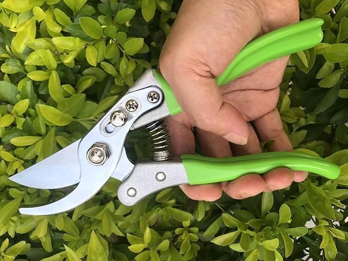 Garden Shears, Japanese Pruning Shears for Heavy Duty, Flowers Herbs Grapes Plant and Branch Cutters, Clippers, Trimmers, Scissors (Green) - Bloomnest