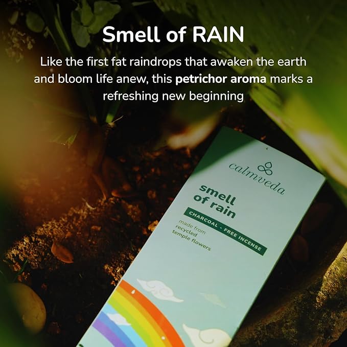 Fresh Rain Incense Sticks - (80 Scent Sticks) Charcoal Free, Made from Upcycled Flowers | Like Petrichor Aroma of Rain Soaked Earth | Relaxing Scents for Meditation Incense CalmvedaIncenseAromatherapy