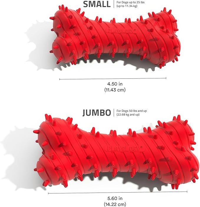 Playology Dog Toys | Puppy Toy Teething Bone Designed for Young & Active Dogs | Jumbo Beef Scented Toy Made from Non Toxic Materials - Bloomnest