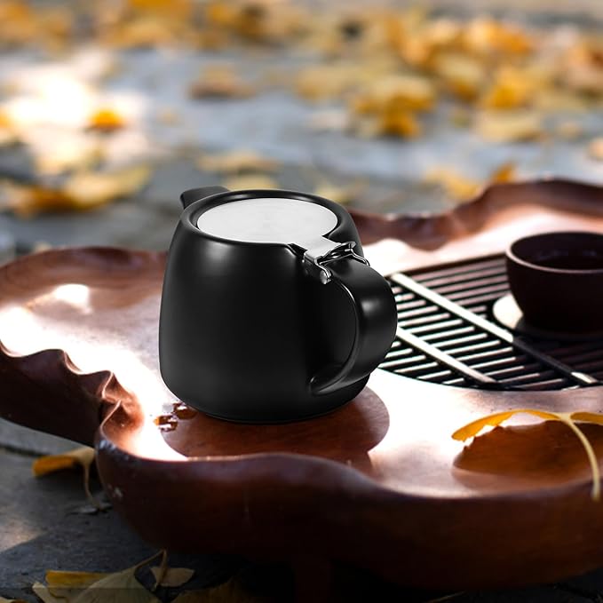 Small Ceramic Tea Pot with Stainless Steel Infuser Portable Tea Kettle Electric Ceramic Stove for Home Dorm Kung Fu