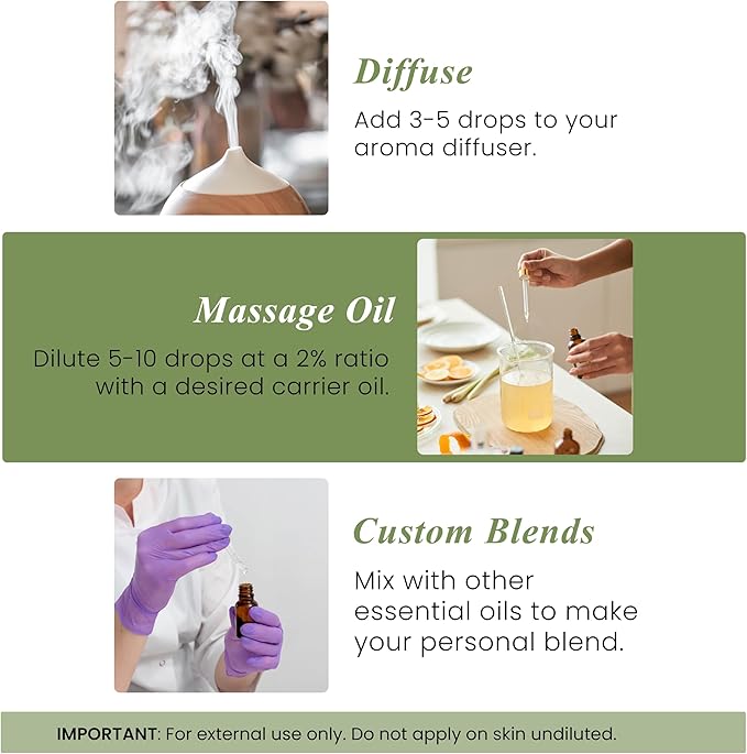 Handcraft Blends Oregano Oil – 1 Fl Oz – 100% Pure and Natural – Premium Grade Essential Oil for Diffuser and Aromatherapy, Skin, Massage, Candle and Soap Making Fragrance - Bloomnest