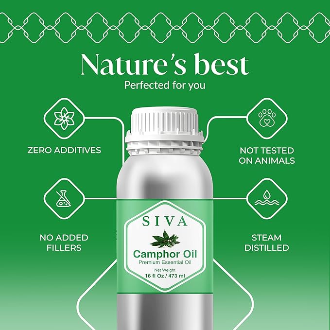Siva Camphor Essential Oil - 16 Fl Oz – 100% Natural Camphor Oil - for Diffuser, Face, Skin Care, Aromatherapy, Hair Care, Scalp and Body Massage SIVAOrganics