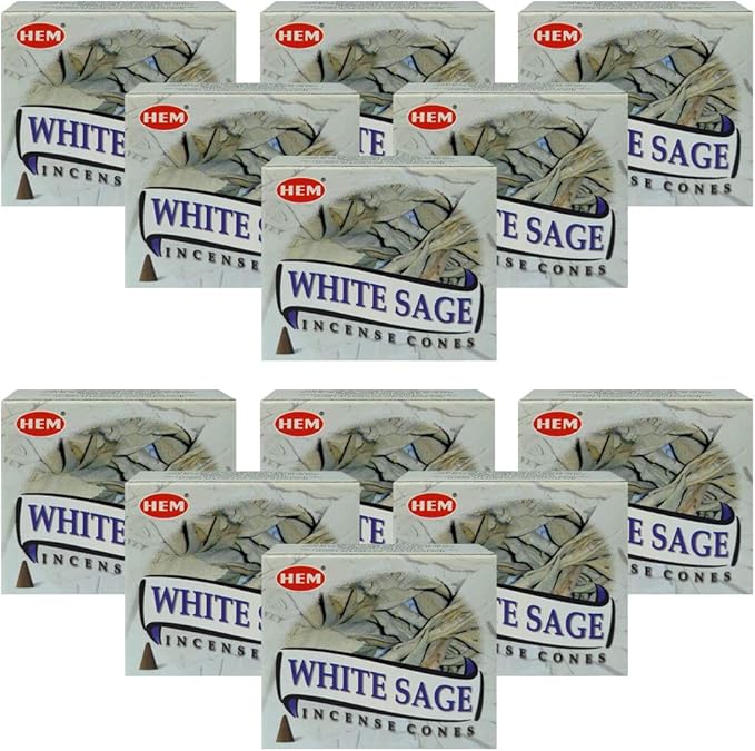 White Sage Incense Cones and Cone Incense Burner Bundle Insence Insense Hem Incense TRUMIRI