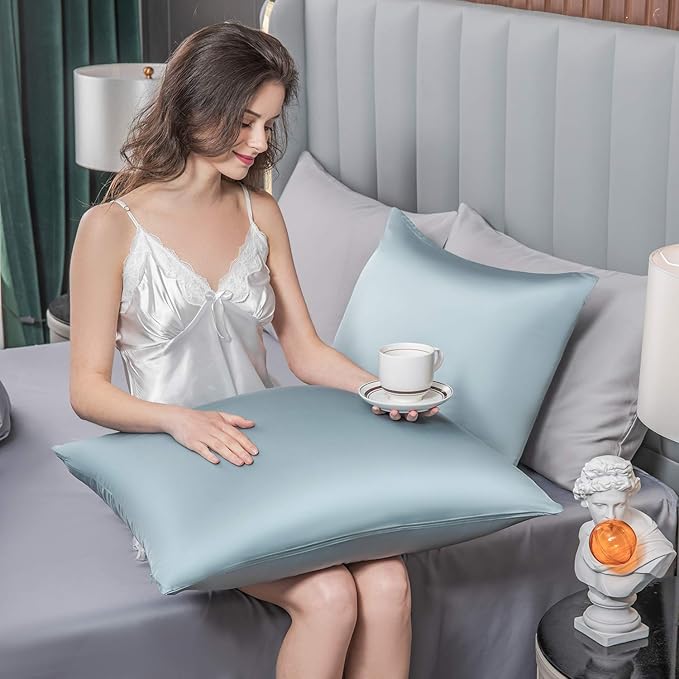 Mulberry Silk Pillowcase for Hair and Skin,Standard Size Cooling Silk Pillow Case with Hidden Zipper,Allergen Proof Dual Sides Soft Breathable Smooth Silk Pillow Cover for Women(Queen,Aqua Blue) - Bloomnest