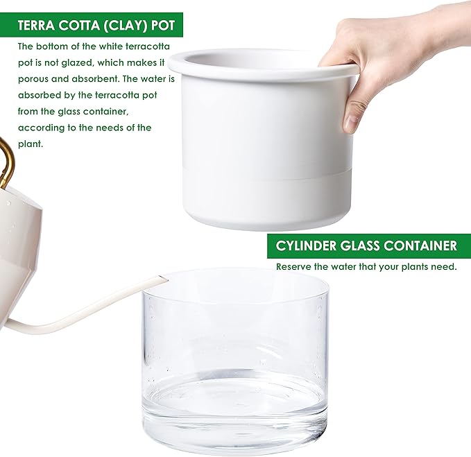 Phoenix Vine 6 Inch 4 Inch Self Watering Planter Pots, Design White Terracotta Pots for Plants, Indoor Cylinder Terra Cotta Pots with Glass Vase Set, 51-B-G-46 - Bloomnest