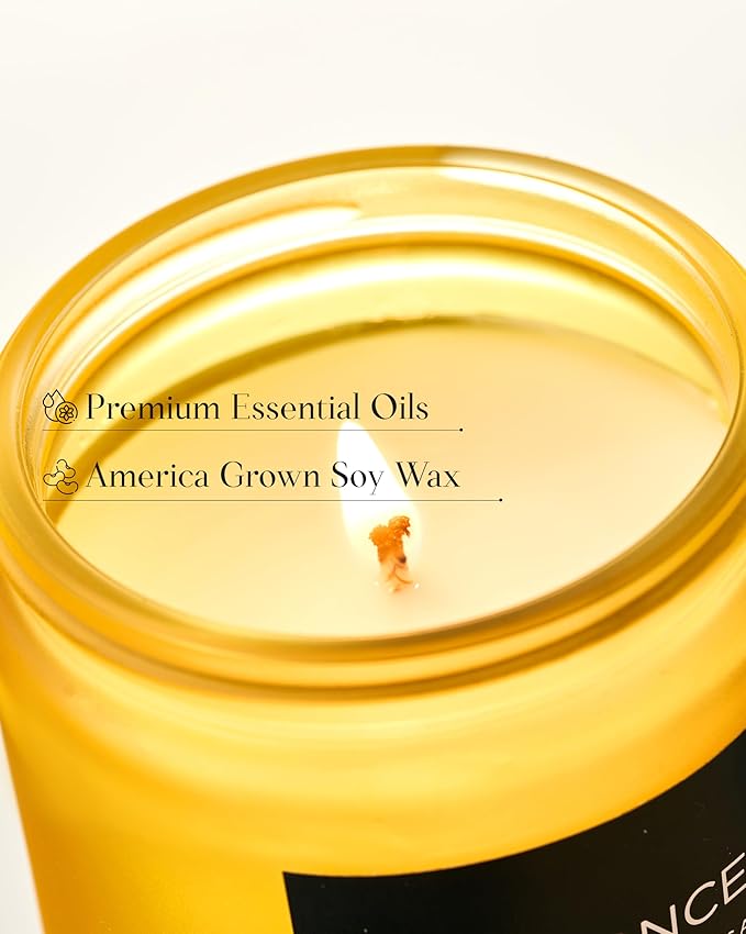 M&SENSE Limocello Summer Scented Candle, 7.05oz 50 Hours Long Lasting Burn Non Toxic Natural Soy Wax Lemon Highly Scented for Home Decor, 2 Wick Relaxing Candle Gifts for Yoga Spa Meditation - Bloomnest