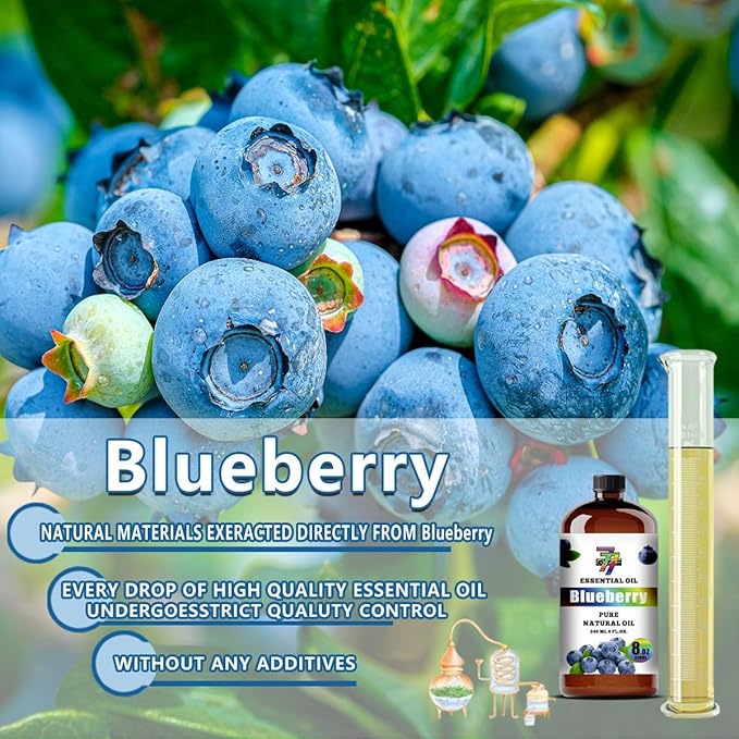 Blueberry Essential Oil (8 oz / 240 ml) – Blueberry Oils for diffusers, humidifiers, Home Baths, Cleaning Products, Yoga, DIY Soaps and DIY Scented Candles - Bloomnest