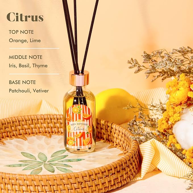Reed Diffuser Set of 3 Pack, Linen Vanilla Citrus Scented Oil Diffuser with 15 Sticks, Reed Diffusers for Home, Bathroom Air Freshener, 1.7 Fl.oz Each, Total 5.1 Oz - Bloomnest