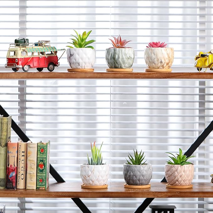 Marbling Ceramic Flower Pot 3.35 Inch Succulent Small Plant Cactus Herbs Planter Ceramic Pot with Drainage Hole Matte Round Container(6 Pcs,Elegance Style) - Bloomnest