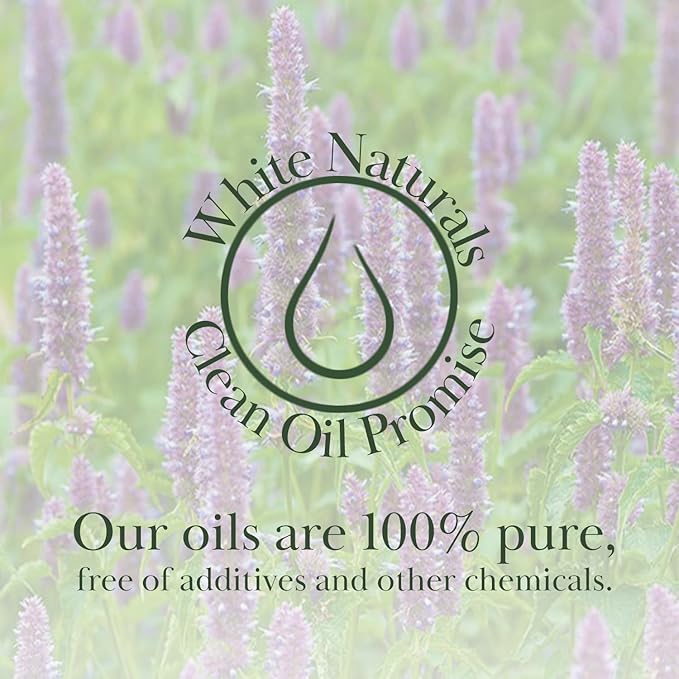 White Naturals Patchouli Essential Oil – 100% Pure & Natural, Earthy Aromatherapy Oil for Relaxation, Skin Care, & DIY Products, 1oz - Bloomnest