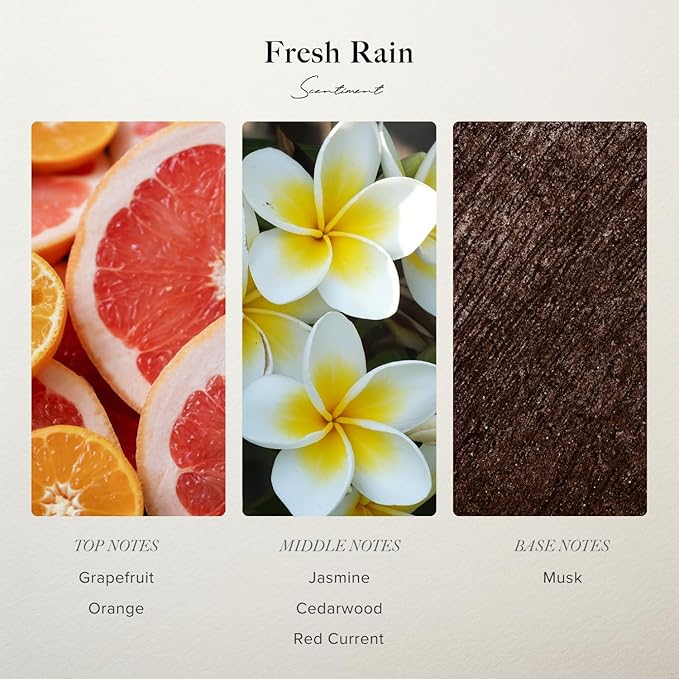 Scentiment Diffuser Oil - Fresh Rain | Aromatherapy Home Fragrance |Inspired by Marriott® Hotels | Luxurious Scent with Notes of Fresh Grapefruit and Crisp Red Currant (120 mL) Scentiment