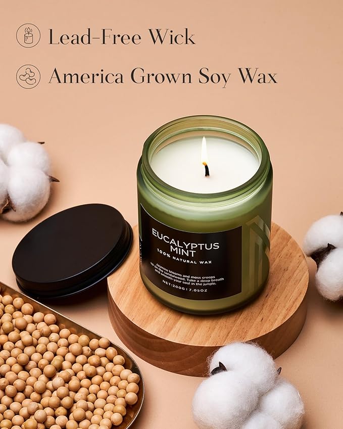 M&SENSE Eucalyptus & Mint Candles for Home Scented, Clean Non Toxic Aromatherapy Candle Gift 7.05oz 50 Hours Burn for Stress Relief Meditation Yoga Relaxing SPA - Bloomnest