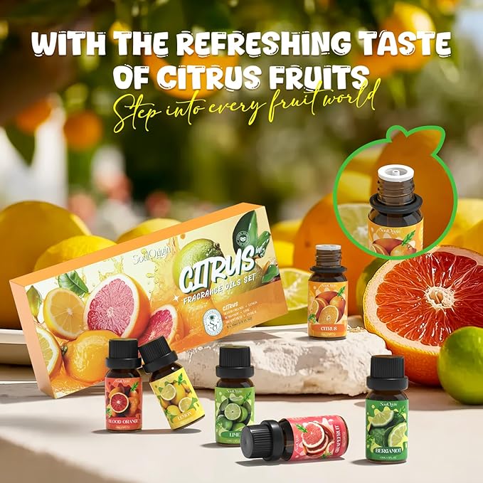 Citrus Essential Oils Set, Fragrance Oil Set for Diffuser, Scent Diffuser Oil for Candle Making- Blood Orange, Lemon, Bergamot, Lime, Grapefruit, Citrus - Bloomnest