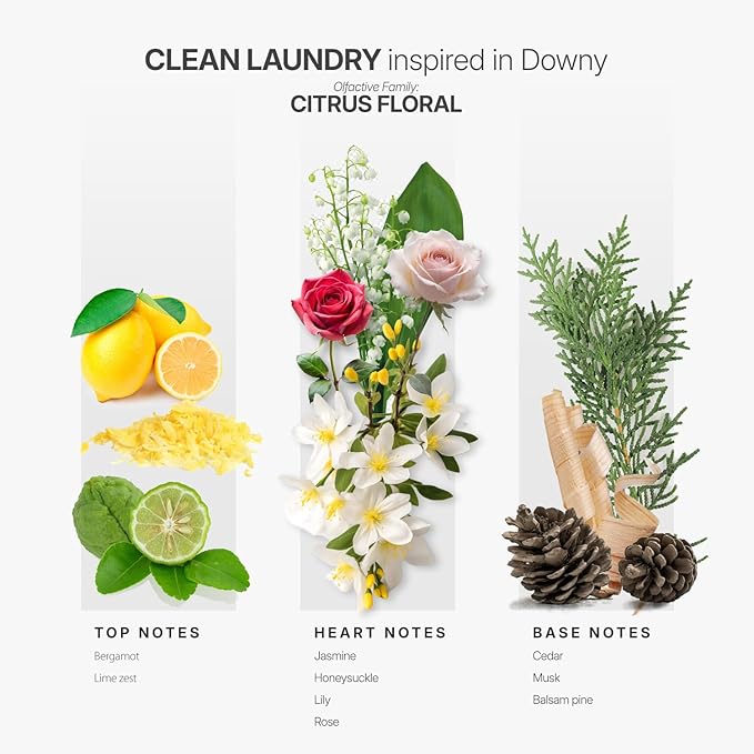 AromaPlan Scents, Clean Smelling Essential Oils, Clean Laundry Inspired by D. (5 Fl Oz /148ml)-Fresh Scent Essential Oil for Diffuser, USA Fragrance, Bigger Bottle, Bolder Aroma & Longer Lasting AromaPlan