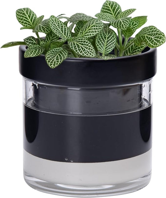 Phoenix Vine 4 Inch Self Watering Terracotta Planter, Black Terracotta Clay Pot with Glass Reservoir for Indoor Plants, Herbs, Flowers, Set of 1, 52-C-E-1 - Bloomnest