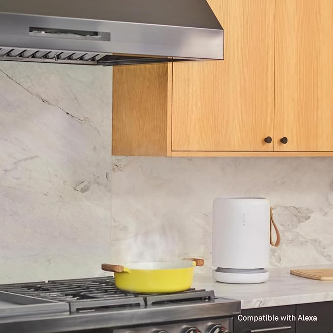 Molekule Air Purifier Mini+ - Purifies Rooms Up to 250 Sq Ft - Smart Purifier with High Pollutant Capture Rate - Air Quality Monitoring Capabilities - White - Bloomnest