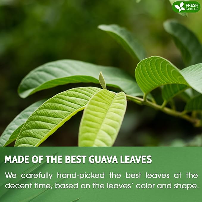 FreshDrinkUS, Premium 50+ Natural Guava Leaves, Whole Dried Leaves, 100% Pure, Natural Guava Loose Leaf Herbal Tea, Non GMO, No Additives, No Caffeine, Vegan - Bloomnest